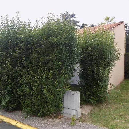 Meschers-sur-gironde, 2 Pieces, 4 Personnes - Fr-1-305c-30 Apartment *